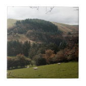 Pennant Valley Wales Tegeltje (Voorkant)