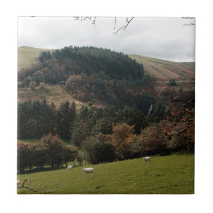 Pennant Valley Wales Tegeltje