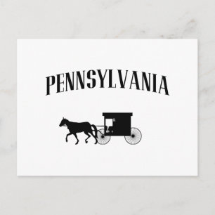 Pennsylvania Amish Carriage Briefkaart