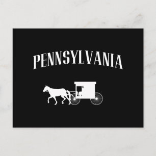 Pennsylvania Amish Carriage Briefkaart
