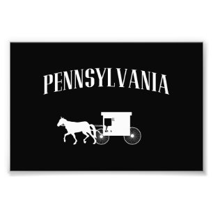 Pennsylvania Amish Carriage Foto Afdruk