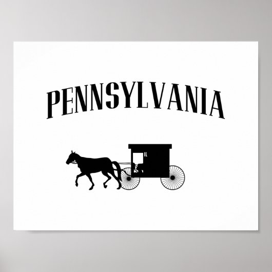 Pennsylvania Amish Carriage Poster (Voorkant)
