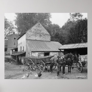 Pennsylvania-boerderij, 1906. Oude foto Poster