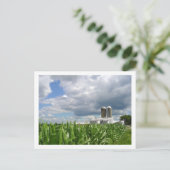 Pennsylvania Cornfield Briefkaart (Staand voorkant)