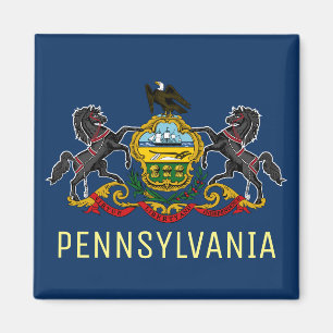 Pennsylvania Flag Magneet
