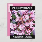 Pennsylvania Mountain Laurel Briefkaart (Voorkant / Achterkant)