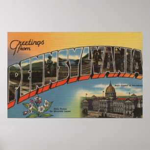 Pennsylvania (State Capital/Flower) 2 Poster