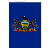 Pennsylvania State Flag Design (Voorkant)