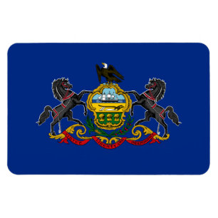 Pennsylvania vlag magneet