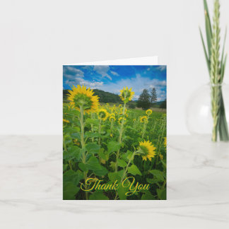 "Pennsylvania Zonnebloemveld"  Kaart