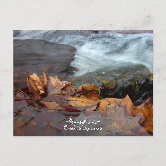 Pennsylvanie creek Carte postale (Devant)