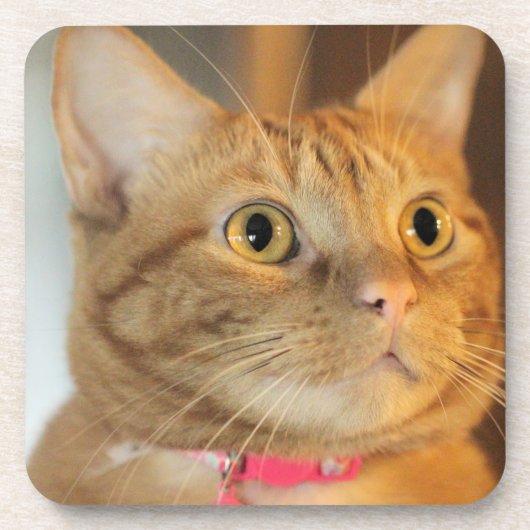 Penny Bier Onderzetter (Voorkant)