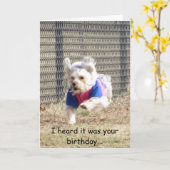 Penny Birthday Card Kaart (Gele Bloem)