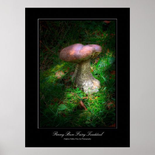 Penny Bun Fairy Toadstool galerie-poster Poster (Voorkant)