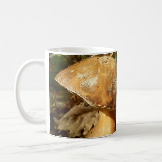 Penny Bun Mushroom Mok (Links)