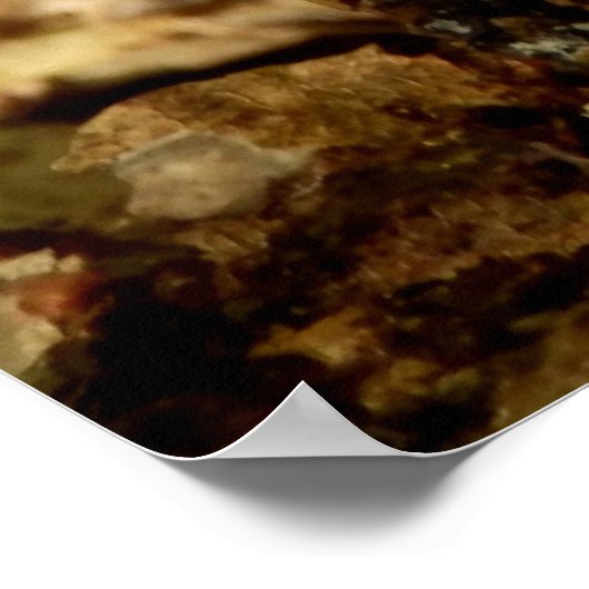 Penny Bun Mushroom Poster (Coin)