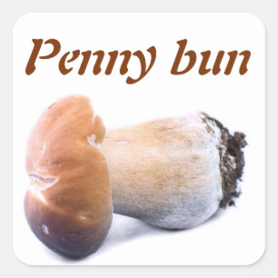 Penny bun vierkante sticker