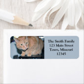 Penny Etiket (Insitu)