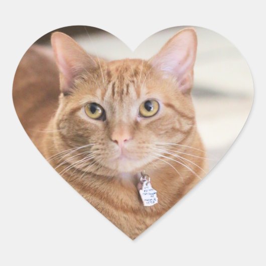 Penny Hart Sticker (Voorkant)