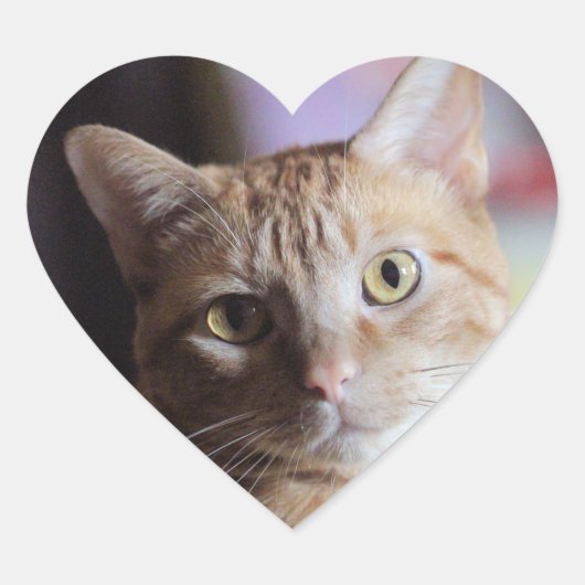 Penny Hart Sticker (Voorkant)