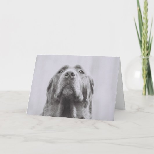 Penny Kaart (Voorkant)