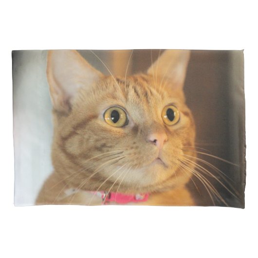  Penny Kussensloop (Voorkant)