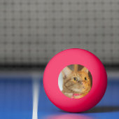 Penny Pingpongballen (Net)