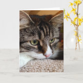 Penny pour votre carte de note sibérienne de chat (Fleur jaune)