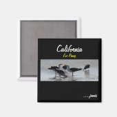 Penny's Magnet Magneet (Voorkant / Achterkant)