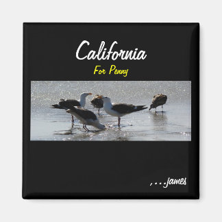 Penny's Magnet Magneet