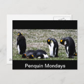Penquin Mondays Briefkaart (Voorkant / Achterkant)