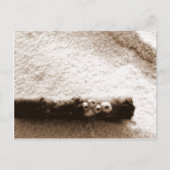 Pensacola Beach-kaart Briefkaart (Voorkant)