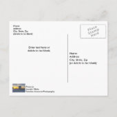 Pensacola Lifeguard Station Sunrise Carte postale (Dos)