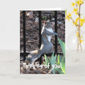 Pense à toi ! Carte d'écureuil (Fleur jaune)