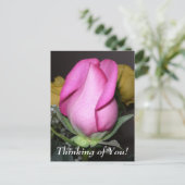 Pense à toi ! Carte postale (Debout devant)