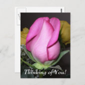 Pense à toi ! Carte postale (Devant / Derrière)