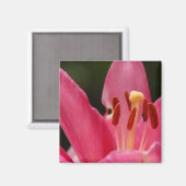 Pense Pink Lily Magnet (Recto/Verso)