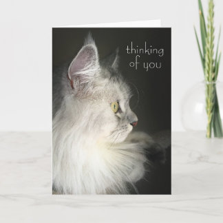 Pensée à vous carte comportant le chat sibérien