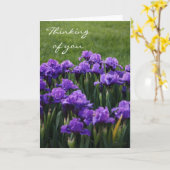 Pensée à vous carte de voeux (Fleur jaune)