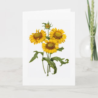 Pensée à vous carte de voeux