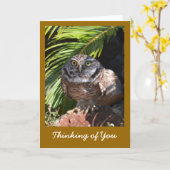 Pensée à vous carte de voeux avec le hibou (Fleur jaune)