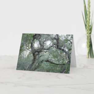 Pensée à vous chênes embrouillés par carte