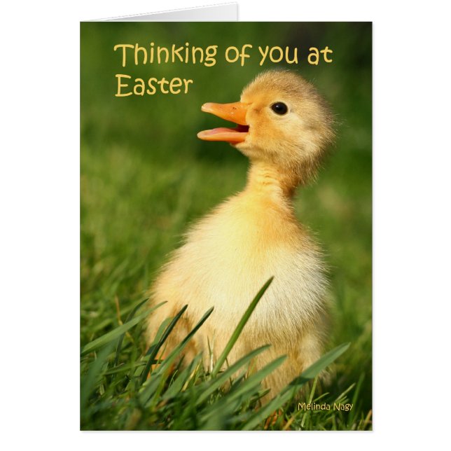 Pensée à vous chez Pâques (Devant)