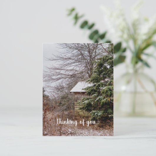 Pensée Abandonnée De Vous Carte Postale (Debout devant)