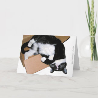 Pensée en dehors de la carte de voeux