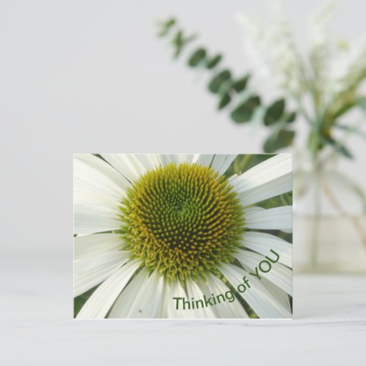 Pensée Fleur Blanche de VOUS Carte postale (Debout devant)