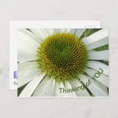 Pensée Fleur Blanche de VOUS Carte postale (Devant / Derrière)