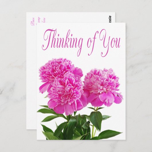 Pensée Florale de vous rose Peony carte postale (Devant / Derrière)