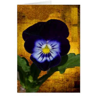 Pensée foncée sur l'or 1