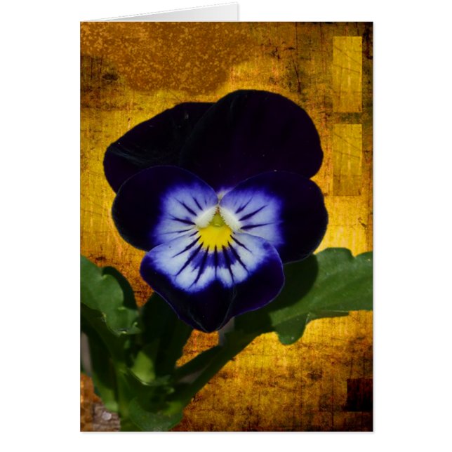 Pensée foncée sur l'or 1 (Devant)